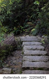 Stepping Stones Along A Hidden Path