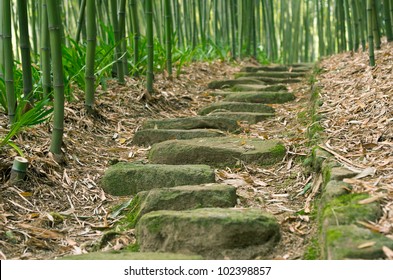 Stepping Stones In Bamboo Forest