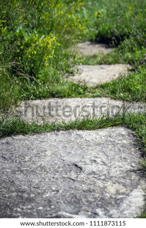 Similar – Image, Stock Photo Continue Trip Hiking Legs