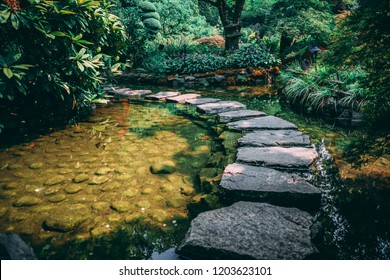 Stepping Stones Over Still Water