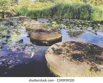 Stepping Stones Over Water