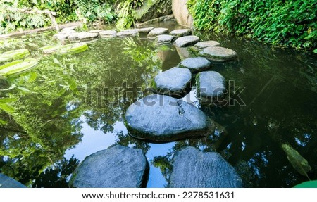 Stepping stones path over a pond