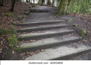 steps