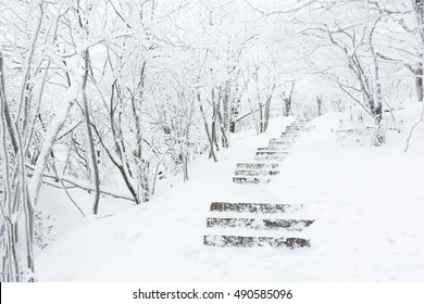 steps covered by snow on huangshan mountain