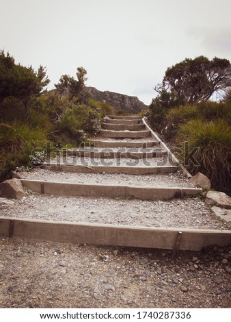 Steps at Cradle Mountain footpath planked by native flora. Suitable to illustrate symbolic meaning of a ladder. A ladder represents progress, ascension, spiritual passage through levels of initiation