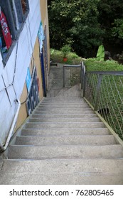 The steps going down.