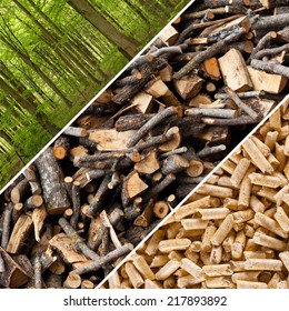 Steps of industrial production for wooden pellets.
