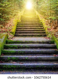  Steps Leading Up To The Sun.  Way To God .  Bright Light From Heaven .  Religious Background  . Sunlight In The Green Forest .  Door To Orange Sunset . Light From Sky . 