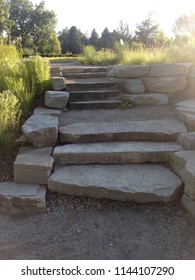 Steps In Matthaei Botanical Garden