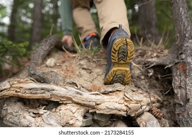 Steps Up The Mountain Path