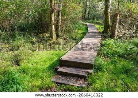 Steps on the boardwalk through the forest at Shark Reef Sanctuary on Lopez Island, Washington, USA