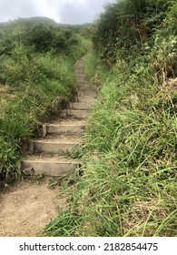 Steps On The South West Coast Path Cornwall 