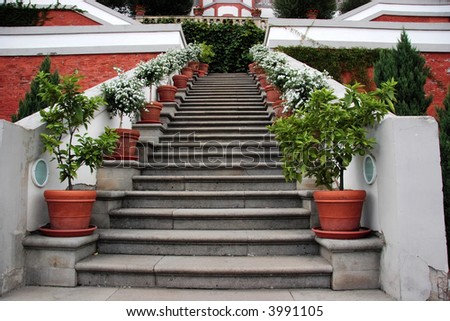 Steps with potted plants - landscape
