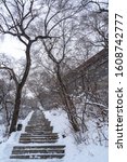 Steps up in the snow