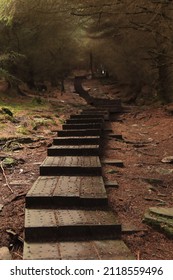 Steps In Wicklow National Park