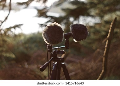 Stereo Microphone Pair Field Recording In Forest Near Lake