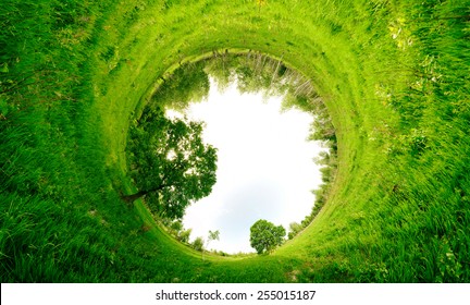 Stereographic Panoramic Projection Of A Green Field With Trees I