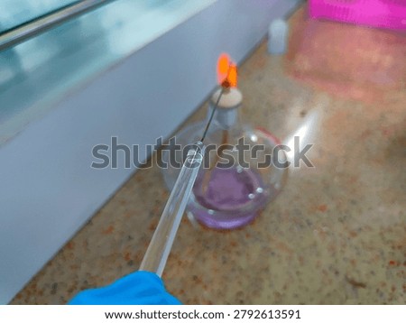 Sterilizing inoculating loop over Bunsen burner flame in microbiology laboratory