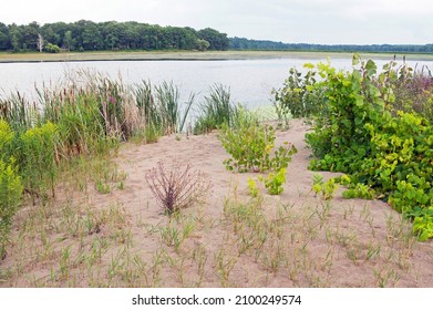 Sterling Pond In Fair Haven Beach State Park. Destination Lake Ontario New York