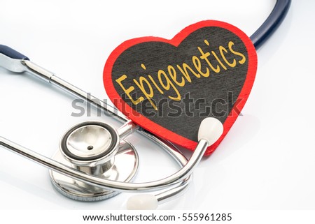 stethoscope and red love with medical conceptual text.