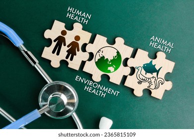 stethoscope and wooden puzzle with the words and icons of human health, animal health and environmental health. the concept of a clean and healthy environment. responsibility to the environment.  - Shutterstock ID 2365815109