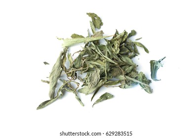 Stevia  Herbal  Infusion  On Isolated 