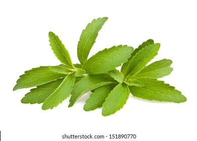 Stevia Leaves Isolated On White