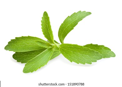 Stevia Leaves Isolated On White