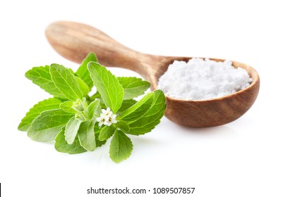 Stevia Plant With Powder