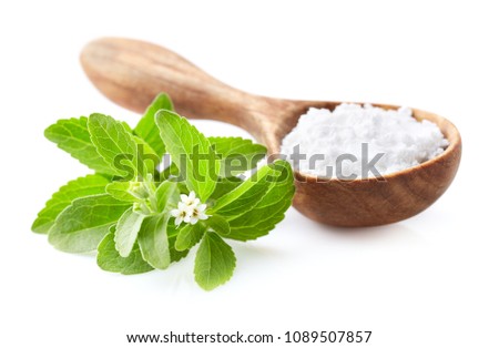 Stevia plant with powder