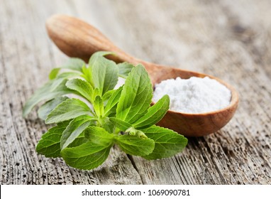 Stevia Plant With Powder On Wooden Board