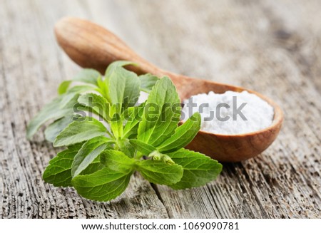 Stevia plant with powder on wooden board