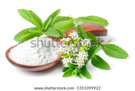 stevia sugar powder in the wooden spoon, with fresh stevia leaves and flowers, isolated on white background