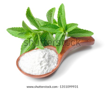 stevia sugar powder in the wooden spoon, with fresh stevia leaves, isolated on white background
