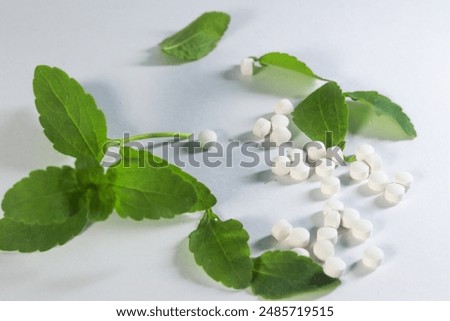 Stevia tablets which is a form of  High-purity steviol glycosides along with fresh stevia leaf isolated in white background