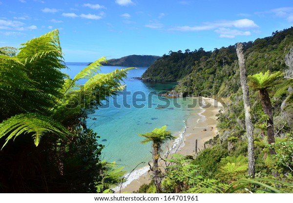 ニュージーランド スチュワート島 の写真素材 今すぐ編集