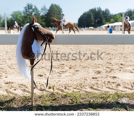 Stick horse, hobby horse. Equestrian sports. Equestrian equipment. Sports. Summer. The sun. Banner. Outdoors. Close-up