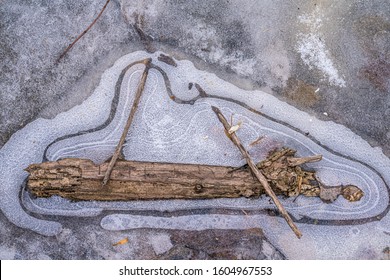 Sticks And Branches Stuck On A Frozen Pond Under A Dense Forest In Winter.