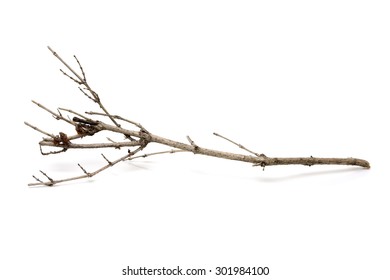 Sticks Twigs Isolated On White Background Stock Photo 301984100 ...