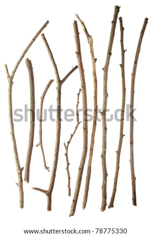 Sticks and twigs isolated on white background