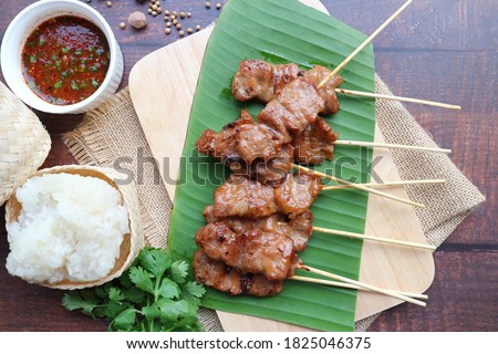 Sticky rice with grilled pork on skewer - Thai food (Moo Ping )