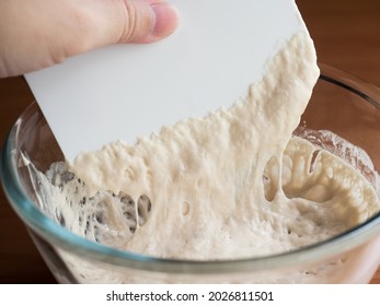 Sticky And Stretchy Fermented Bread Dough Starter