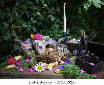 Still Life Art Of Spiritual Sibyl Witch Medicine 