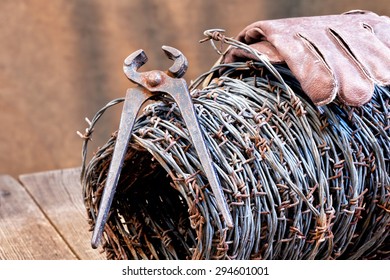 Still Life With Barbed Wire And Old Cutter