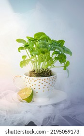 Still Life With Basil In A Coffee Cup With Lime Lemon