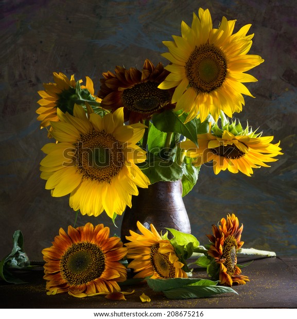 Still Life Beautiful Sunflowers Vase Stock Photo Edit Now 208675216