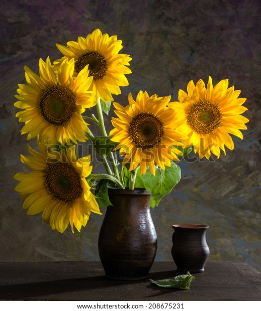 Still Life Beautiful Sunflowers Vase Stock Photo Edit Now 208675231