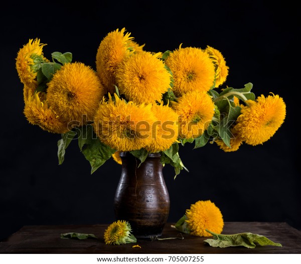 Still Life Beautiful Sunflowers Vase On Stock Photo Edit Now