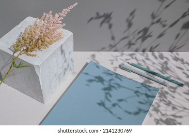 Still Life With Blank Blue Note Pad, Gypsum Cube, Astilbe Plant. Shadows Of Leaves Reflected On Surface.