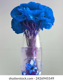 Still life with blue flowers. Bouquet of poppy flowers (Papaver) in a glass vase on the table. Beautifully and originally designed delicate bouquet (bunch) of bright blue decorative poppies